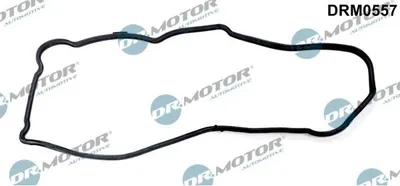 Produktbild von DR.MOTOR AUTOMOTIVE Steuergehäusedichtung DRM0557 für NISSAN NP300 Navara Pickup (D40)