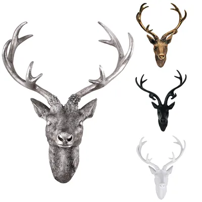 Image de Bois de cerf Tête de cerf Bois à 10 branches de différentes couleurs et tailles