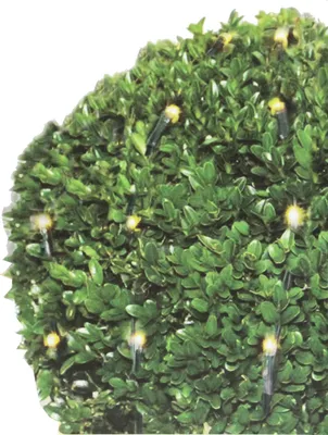Produktbild von DSS | Buchsbaum-Netzbeleuchtung | 100 LED - warmweiß - für Außenbereich