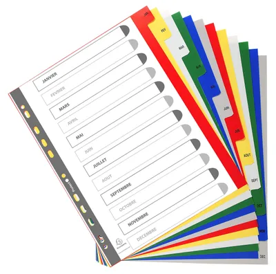 Immagine prodotto di Exacompta 92E Divisori DIN A4 con 12 linguette colorate in polipropilene resistente
