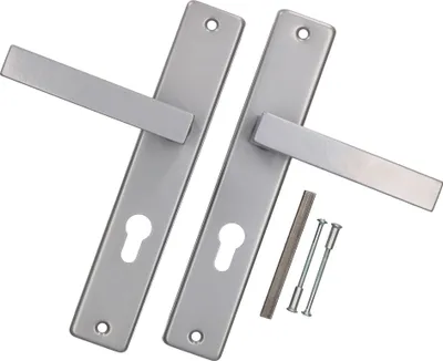 A pair of silver door handles with mounting hardware on a white background.