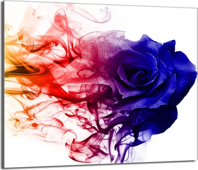 Produktbild von Herdabdeckplatte 60x52 Glaskeramikkochfeld Abdeckung Spritzschutz Glasplatte Deko Schneidebrett, Rose Bunt