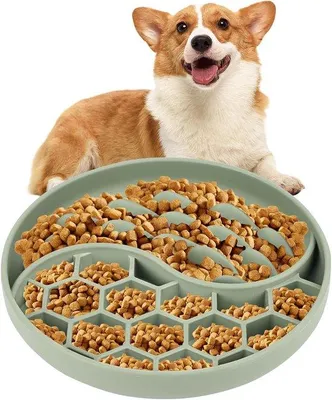 Produktbild von Famanu Anti-Schluckschale für Katzen und Hunde - Slow Feeder mit großen Saugnäpfen - 20 cm