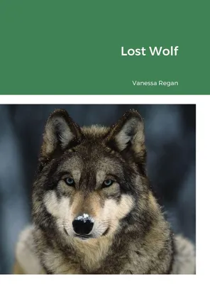 Produktbild von Lost Wolf