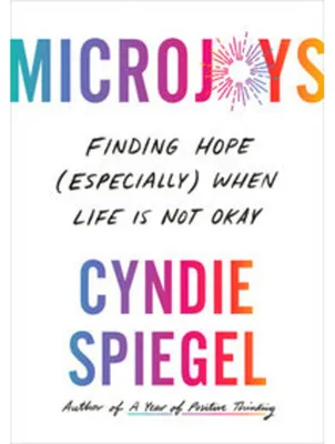 Obrázok produktu pre Microjoys Serie Buch, Englischsprachig, tiefgründige Essays und nachdenkliche Anregungen