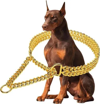 Productafbeelding van Gouden hondenhalsband roestvrij staal verstelbaar voor wandelen met metalen Cubaanse schakels kauwbestendig dubbele rij ketting voor grote kl