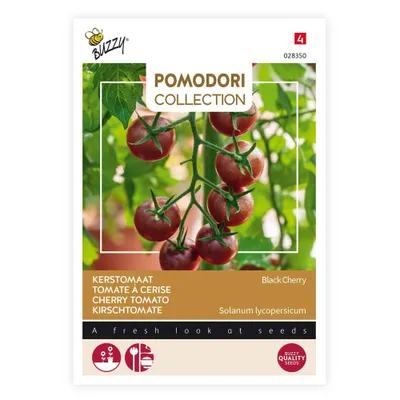 Produktbild von Kirschtomate Black Cherry | Kirschtomatensamen von Buzzy Seeds