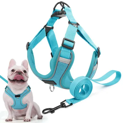 Image de Harnais pour chien anti-traction, réfléchissant, avec laisse, couleur bleu marine, taille M