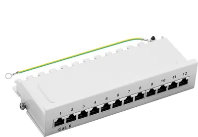 A white patch panel with 12 RJ45 ports and a grounding wire.