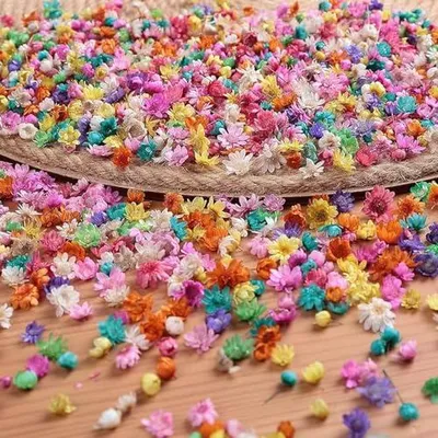 280 Mini-Trockenblumen für Harz, bunt, 0,6–1 cm, natürlich