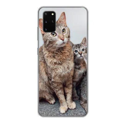 Produktbild von MuchoWow® Handyhülle Schutzhülle Hülle für Samsung Galaxy S20 Plus Katze - Kätzchen - Fell Silikon Softcase Handy Hülle - Hartschale