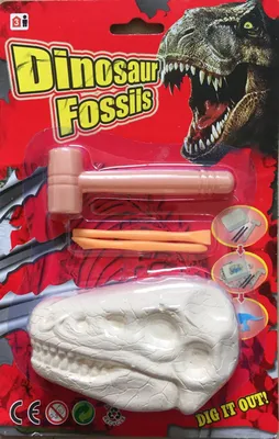 Obrázek produktu pro Dinosauří fosílie