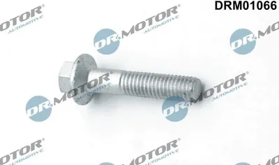 Produktbild von DR.MOTOR AUTOMOTIVE Schraube Einspritzdüsenhalter DRM01066 für FORD MONDEO IV Turnier (BA7)