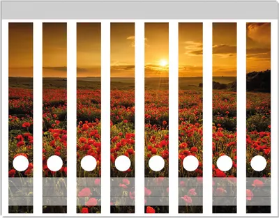 Produktbild von Wallario Ordnerrücken Sticker, selbstklebend für schmale Ordner, 8 Stück, Motiv Mohnblumenwiese bei Sonnenuntergang am Abend