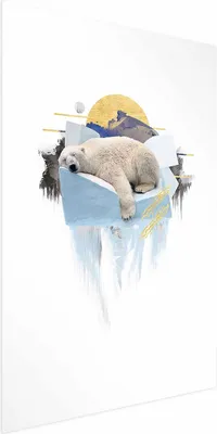 Produktbild von Posterpapier Poster - Polar Bear 29.7x42 cm Tiere g-C-0132-ao-a