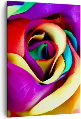 Produktbild von Bild auf Leinwand - Leinwandbild - Einteilig - Blume Farbe Rose - 50x70cm - Wand Bild - Wanddeko - Wandbilder - Leinwanddruck - Kunstdruck - Wanddekoration - Leinwand bilder - Wandbild - PA50x70-3623