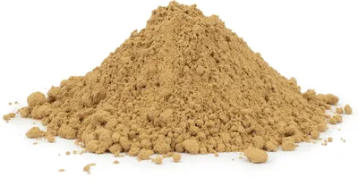 Produktbild von Maitake (Klapperschwamm) Pilz (Grifola Frondosa) - Pulver, 1000g