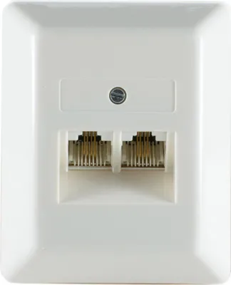 Image de Prises UAE 2 x 8/8 (4), parallèle ISDN en saillie *shiverpeaks basic* (BS74230-4)