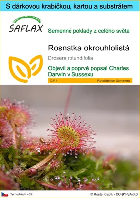 Obrázek produktu pro SAFLAX Dárková sada - Rosnatka okrouhlolistá - Drosera rotundifolia - 50 Semena - S dárkovou krabičkou, přepravním štítkem, dárkovou kartou a pěstebním médiem