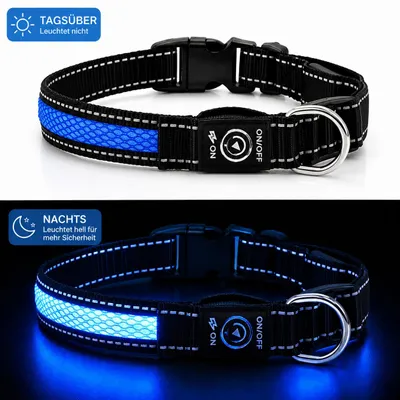 Produktbild von Premium LED Hundehalsband USB aufladbar reflektierend Leuchthalsband verstellbar S–L für Hunde Nacht Sicherheit inkl. Ladekabel Gr. S (35cm) - BLAU, KI-generiertes Bild