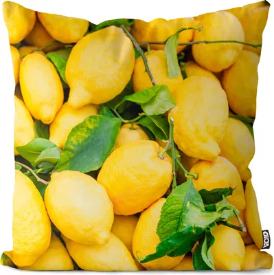 Produktbild von VOID Zitronen Obst Italien Kissenbezug Kissenhülle Sofakissen Kissen Deko Outdoor-Kissen Dekokissen