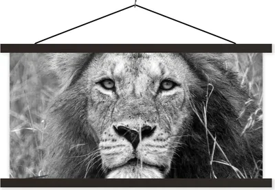 Produktbild von MuchoWow® Textilposter Löwe - Porträt - Tiere 60x30 cm mit schwarzem Rahmen - Textilien