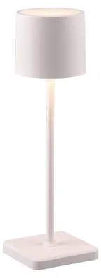 Immagine prodotto di FERNANDEZ lampada portatile per esterni bianco RL R54096131