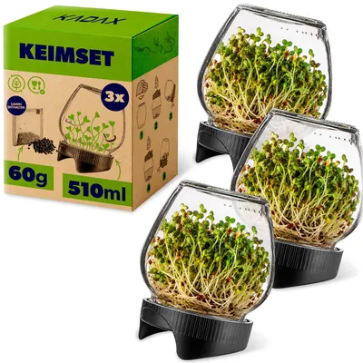 Produktbild von KADAX Sprossengläser 510 ml, 3er Set, Keimgläser mit Siebdeckel Ø 82 mm, Sprossen Anzuchtset, Anzuchtgläser für Brokkolisprossen, Sprossenset, inkl. Radieschensamen