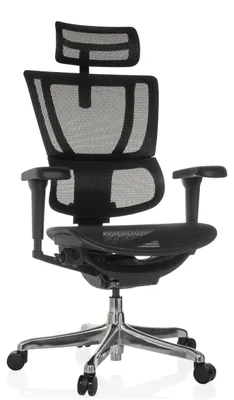 Ergonomischer Bürostuhl mit Netzbespannung, schwarz, 120 kg