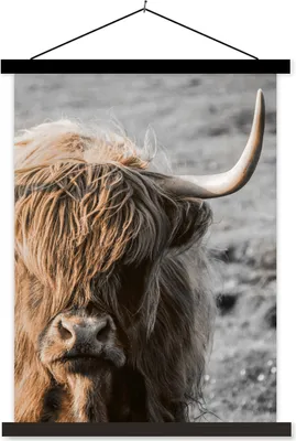 Produktbild von MuchoWow® Textilposter Schottisches Hochlandrind - Tier - Porträt 60x80 cm mit schwarzem Rahmen - Plakathalter