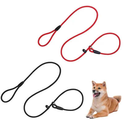 Productafbeelding van 2-in-1 Verstelbare Hondenleiband van 130 cm voor Kleine en Middelgrote Honden