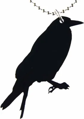 Produktbild von Rabe Krähe Kette Halskette Miniblings 80cm Vogel Vogelkette Acrylglas 40mm