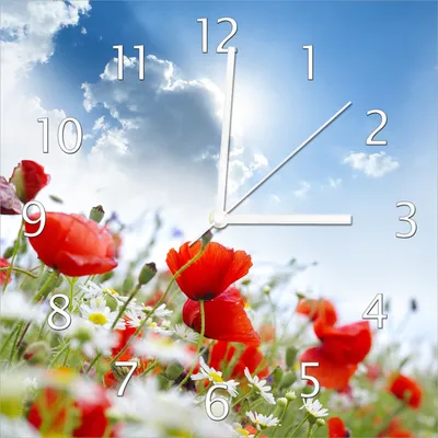 Produktbild von Wallario Design Wanduhr Mohnblumen unter blauem Himmel aus Echtglas, Größe 30 x 30 cm