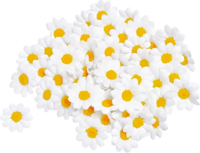 Produktbild von VBS Margeritenblüten, Ø 3,5 cm, 50 Stück