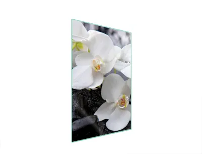 Produktbild von Glasschneidebrett 35x52 Orchidee