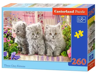Image de Puzzle 260 pièces Trois Petits Chats Gris 27491