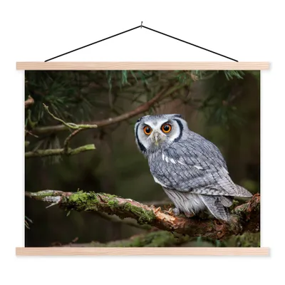 Produktbild von MuchoWow® Textilposter Eule - Vogel - Äste - Natur 40x30 cm mit holzfarbenen Rahmen - Bilder