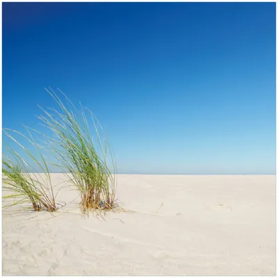 Produktbild von Wallario Premium Glasbild, freischwebende Optik, kräftige Farben, Größe 30 x 30 cm Motiv Sandstrand unter blauem Himmel