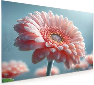 Produktbild von Küchenrückwand Spritzschutz Glas mit Motiv Blumenpracht 40 x 40 cm