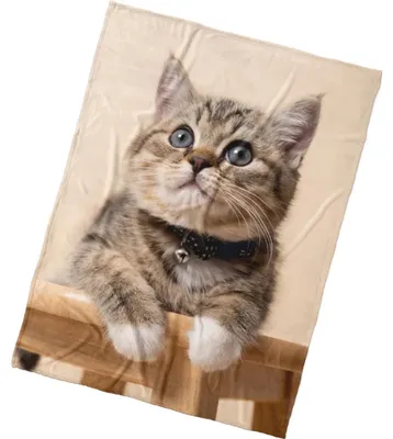 Imagen del producto de Manta de microfibra "Gatito Rolli", 150x200 cm