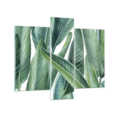 Produktbild von Bilder auf glas - 3 Teile - Exotisch Blätter Grün - 95x80cm - Glasbilder - Wandbilder - Bilder - zum Aufhängen bereit - Wanddekoration aus Glas - Glas Bilder - Wandbild auf Glas - GCB95x80-4258