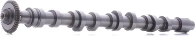 Produktbild von RIDEX 566C0025 Nockenwelle Auslass für VW GOLF VI (5K1) Polo Schrägheck (6R1, 6C1) Passat Variant (3C5) für AUDI A4 Avant (8K5, B8) A6 Avant