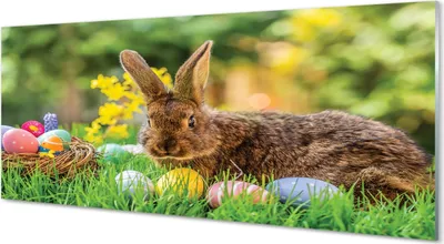 Produktbild von Glasbilder 125x50 Wandkunst Kaninchen Eier Wiese