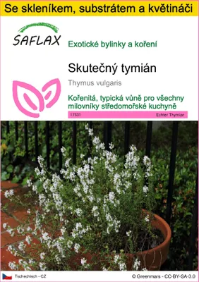 Obrázek produktu pro SAFLAX Kultivační sada - Skutečný tymián - Thymus vulgaris - 200 Semena - S mini skleníkem, pěstebním substrátem a 2 květináči