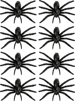 Produktbild von Schwarze Deko Spinnen 8 Stück