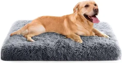 Obrázek produktu pro Vyjímatelný polštář pro psa 100 x 60 x 10 cm - Omyvatelná podložka z paměťové pěny - Tmavě šedý pelíšek pro psy s protiskluzovou spodní stranou