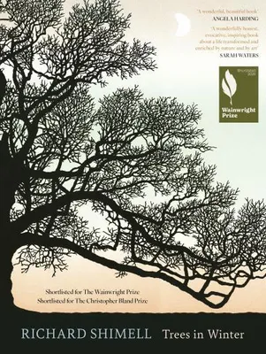 Image de Trees in Winter