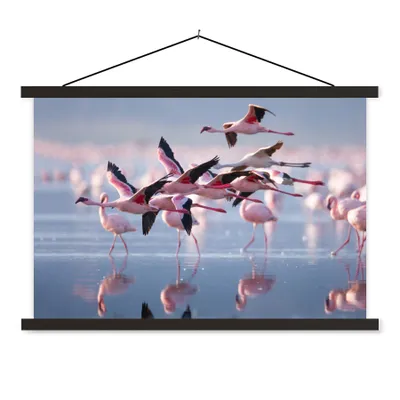 Produktbild von MuchoWow® Textilposter Flamingo - Vogel - Wasser - Rosa 120x80 cm mit schwarzem Rahmen - Wanddeko