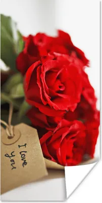 Produktbild von MuchoWow® Poster Rote Rosen auf einem weißen Hintergrund für Valentinstag 75x150 cm - Dekoration für die Wände