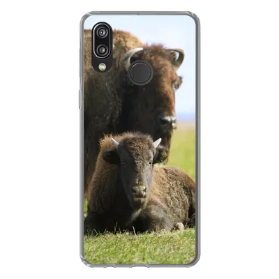 Produktbild von MuchoWow® Handyhülle Schutzhülle Hülle für Huawei P20 Lite (2020) Büffel - Gras - Kalb Silikon Softcase Handy Hülle - Kartenhalter